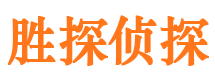 殷都市私家侦探